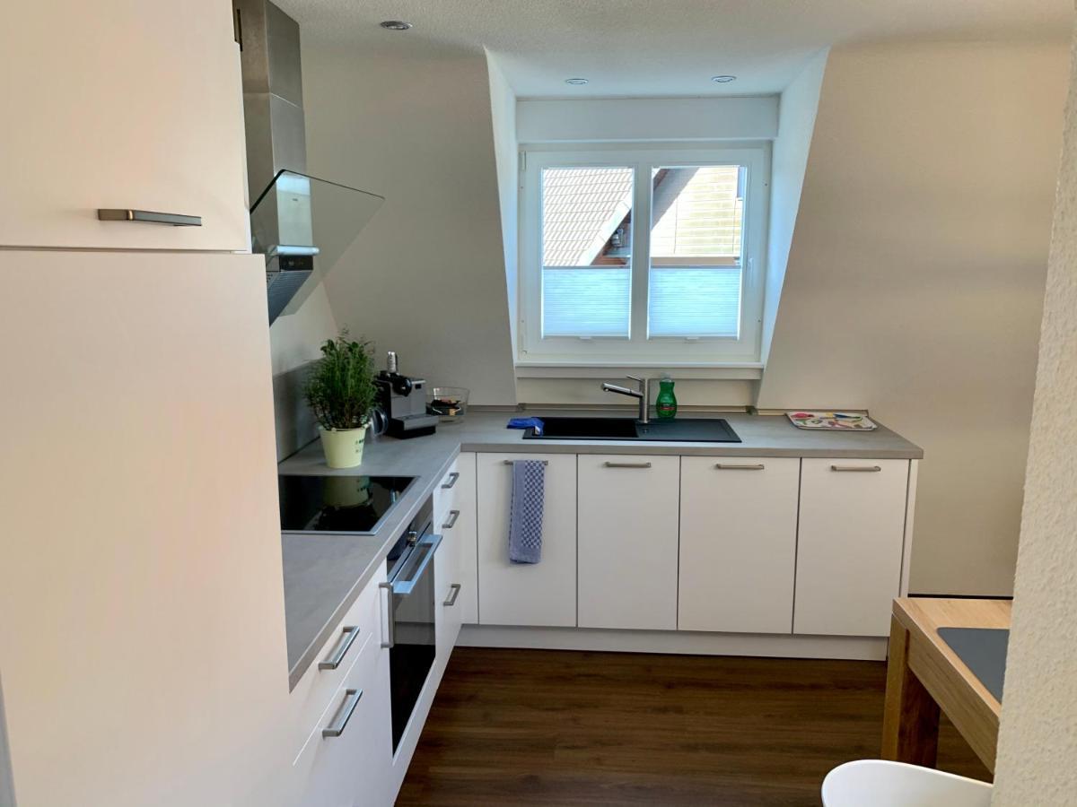 Apartment Im Alten Rathaus Malterdingen Kültér fotó